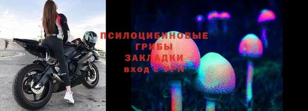 PSILOCYBIN Арсеньев