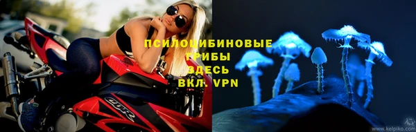 ГАЛЛЮЦИНОГЕННЫЕ ГРИБЫ Аркадак