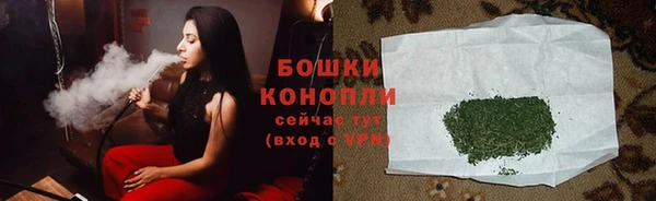 ГАЛЛЮЦИНОГЕННЫЕ ГРИБЫ Аркадак