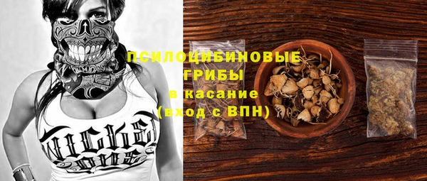 PSILOCYBIN Арсеньев