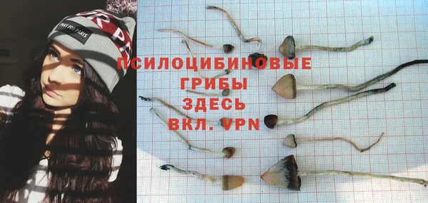 ГАЛЛЮЦИНОГЕННЫЕ ГРИБЫ Аркадак