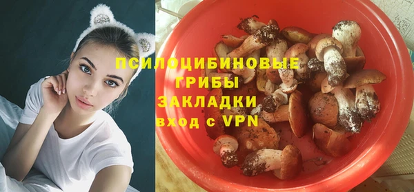ГАЛЛЮЦИНОГЕННЫЕ ГРИБЫ Аркадак