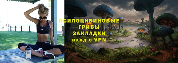 PSILOCYBIN Арсеньев