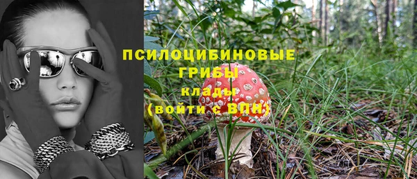 ГАЛЛЮЦИНОГЕННЫЕ ГРИБЫ Аркадак
