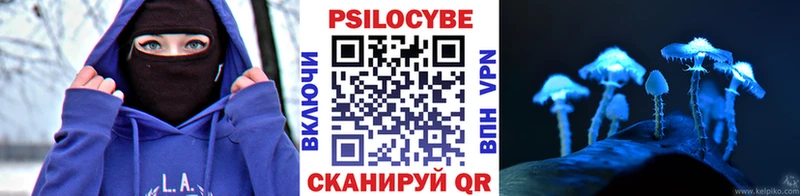 ОМГ ОМГ как войти  Моздок  Псилоцибиновые грибы MAGIC MUSHROOMS 