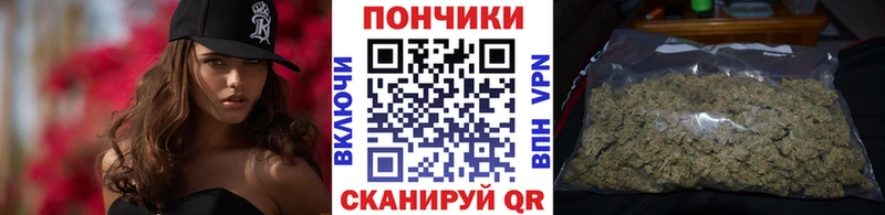 Конопля ГИДРОПОН  даркнет сайт  mega ссылки  Моздок 